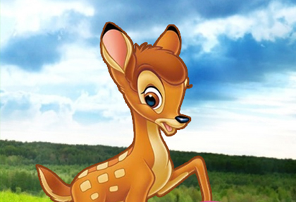 Maxwell's Fiction thème